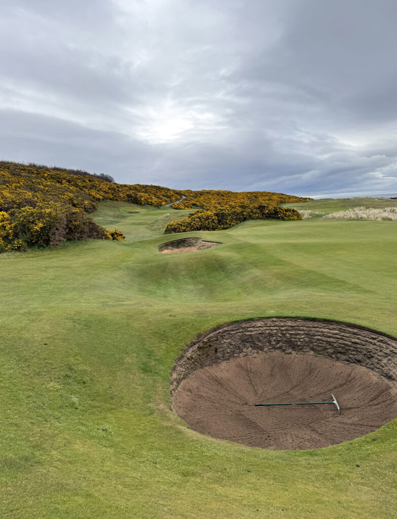 Pot bunkers along the fairway at Royal Dornoch